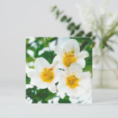 Carte Lis blancs rustiques - Lilium candidum (Debout devant)