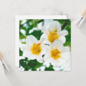 Carte Lis blancs rustiques - Lilium candidum (Devant/Arrière en situation)