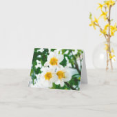 Carte Lis blancs rustiques - Lilium candidum (Fleur jaune)