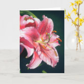 Carte Lis d'astronome (Fleur jaune)