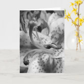 Carte Lis de attraction (Fleur jaune)