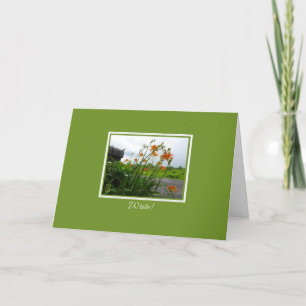 Carte Lis d'un Jour & Boîte aux Lettres “Écrire”