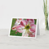 Carte lis Jersey Portrait (Devant)