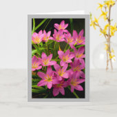 Carte Lis roses de pluie de la fleur 11 (Fleur jaune)