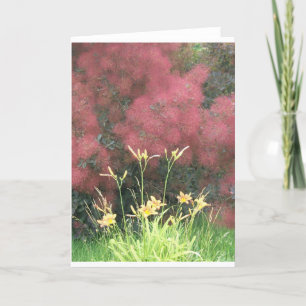 Carte Lis tigrés et Smoketree