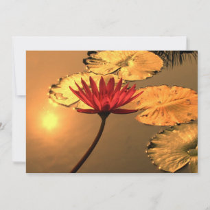 Carte Lit d'eau radiant avec le soleil Reflétant