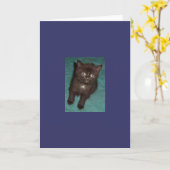Carte Little Black Kitten (Fleur jaune)