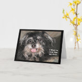 Carte "Little Dog Joey : Je vais te faire un câlin (Fleur jaune)