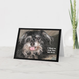 Carte "Little Dog Joey : Je vais te faire un câlin