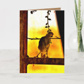 Carte Little Finch (Devant)