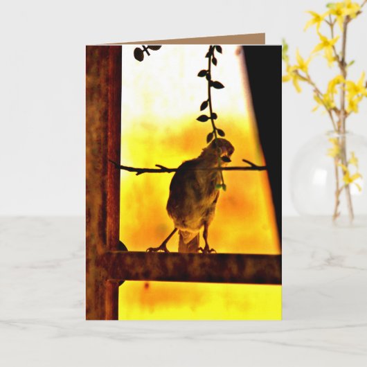 Carte Little Finch (Fleur jaune)