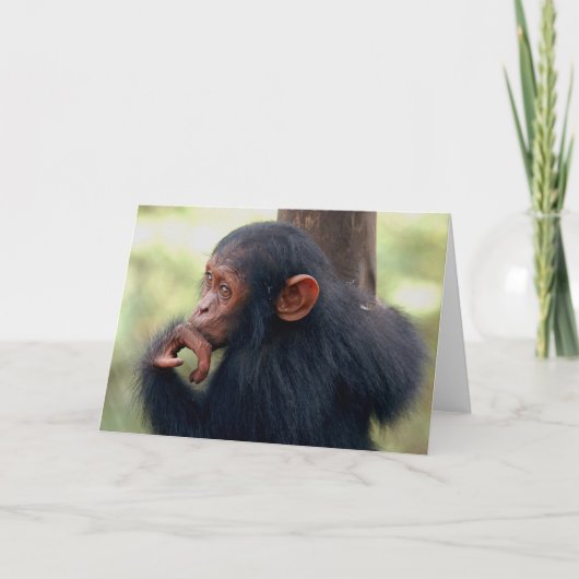 Carte Little Girl (Devant)