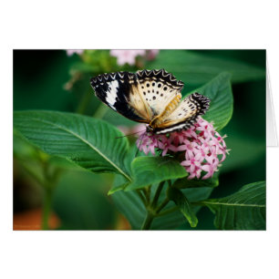 Carte Little Leopard Wings