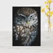 Carte Little Owl Greetings Card (Fleur jaune)