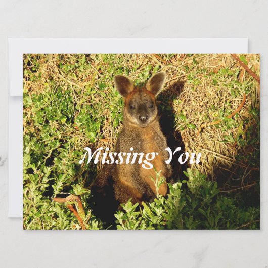 Carte Little Wallaby (Devant)