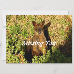 Carte Little Wallaby