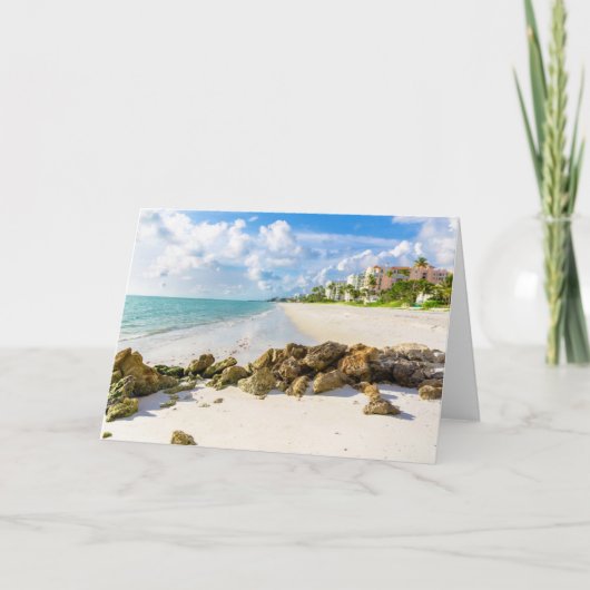 Carte Littoral | Naples Pier, sud-ouest de la Floride (Devant)