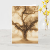 Carte Live Oak - MW1100 (Fleur jaune)