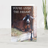 Carte Livin' The Dream Funny Chèvre Anniversaire (Devant)