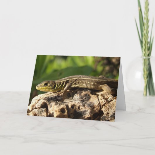 Carte Lizard (Devant)