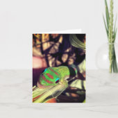 Carte lizard congratulations notecard (Devant)