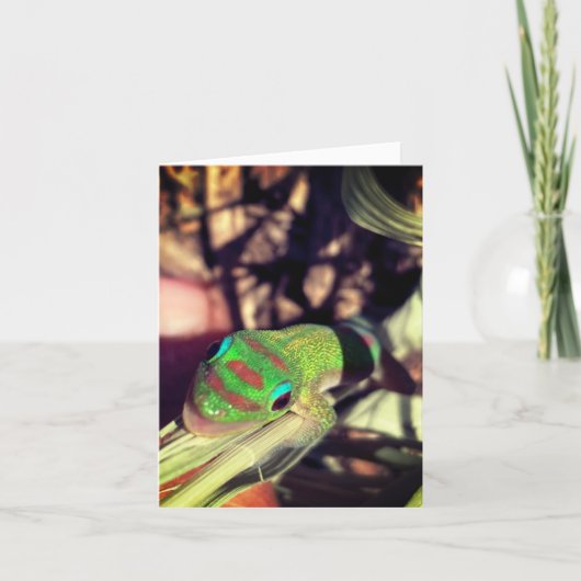 Carte lizard congratulations notecard (Devant)