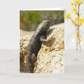 Carte Lizard d'épinette à dos jaune à Joshua Tree (Fleur jaune)