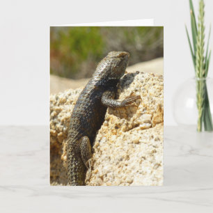 Carte Lizard d'épinette à dos jaune à Joshua Tree