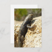 Carte Lizard d'épinette à dos jaune à Joshua Tree (Devant / Derrière)
