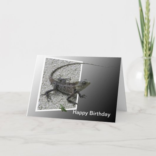 Carte Lizard Flicks Birthday Card (Devant)