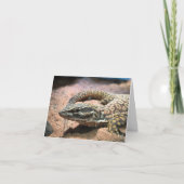 Carte lizard notecard (message inside) (Devant)
