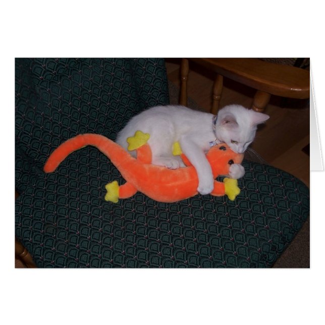 Carte Lizard Serenity Tackes (Devant horizontal)