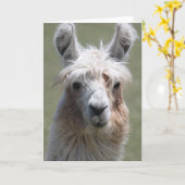 Carte Llama (Fleur jaune)