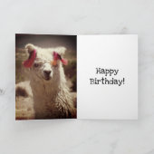 Carte Llama, Anniversaire (Intérieur)