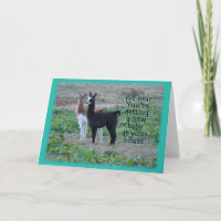 Llama Baby Card