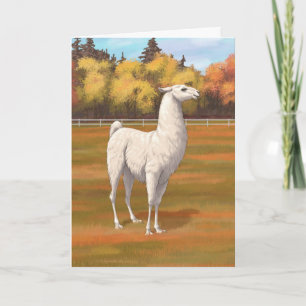 Carte Llama blanche dans les pâturages agricoles d'autom