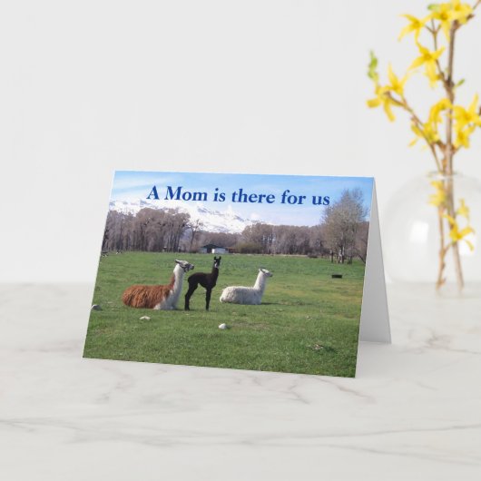 Carte Llama et jeunes (Fleur jaune)