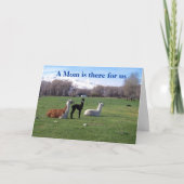 Carte Llama et jeunes (Devant)