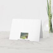Carte llama péruvien (Dos)