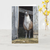 Carte Llama, Salutation Le Jour (Fleur jaune)