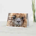 CARTE LLAMA SAYS NO WAY YOU ARE 70* BIRTHDAY HUMOR CARD<br><div class="desc">THIS LLAMA AND HIS OR HER FRIEND THE COW ARE JUST SO SURPRISED AT "YOU ARE 70" YOUR FRIEND OR FAMILY MEMBER IS! SEND THIS CARD FOR A HUGE LAUGH TODAY!</div>