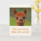 Carte Llama Wonder Anniversaire (Fleur jaune)