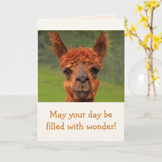 Carte Llama Wonder Anniversaire (Fleur jaune)