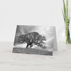 CARTE LOAN OAK EN HIVER