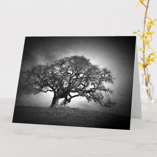 CARTE LOAN OAK TREE (Fleur jaune)
