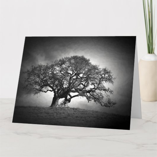 CARTE LOAN OAK TREE (Devant)