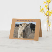 Carte L'obtention du diplôme souhaite - vache blanche (Fleur jaune)