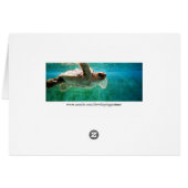 Carte Loggerhead #1 (Dos Horizontal)