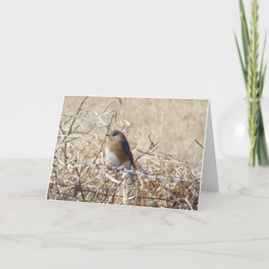 Carte L'oiseau bleu et cardinal, la vie est une chanson (Devant)