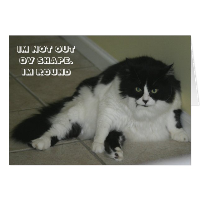 Carte LOL Cat (Devant horizontal)